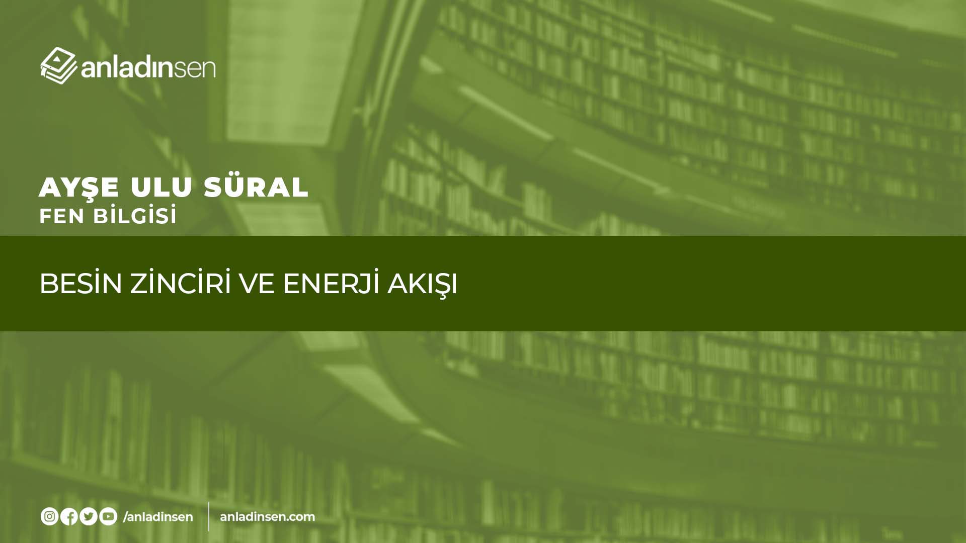 BESİN ZİNCİRİ VE ENERJİ AKIŞI